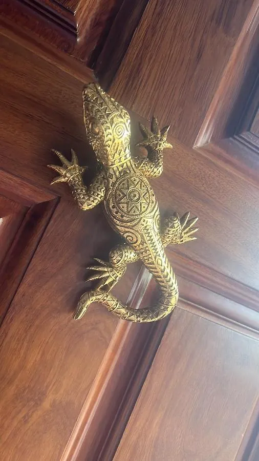 Salamandra Carboneras 0*,